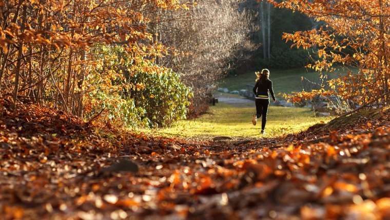 sport en forêt